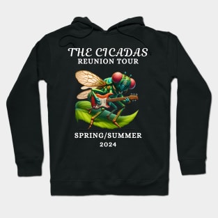 Cicadas Reunion Tour Spring Summer 2024 Funny Cicadageddon Event Cartoon Cicada Guitar Hoodie